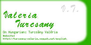 valeria turcsany business card